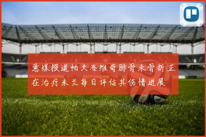 意媒报道帕夫洛维奇腓骨未骨折正在治疗米兰每日评估其伤情进展