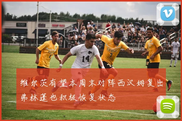 维尔茨有望本周末对阵西汉姆复出弗林蓬也积极恢复状态