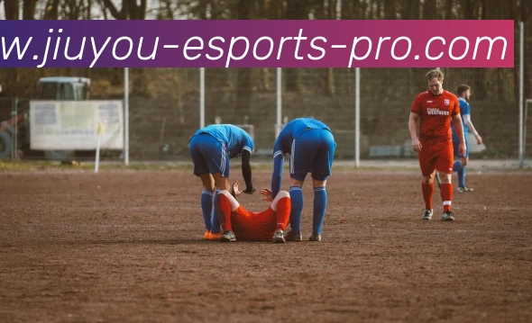 App Interface Preview